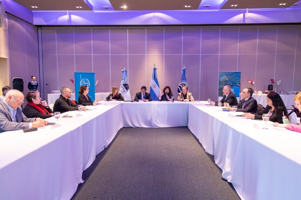 Chubut participó de un nuevo Consejo Regional de Salud de la&nbsp;Patagonia