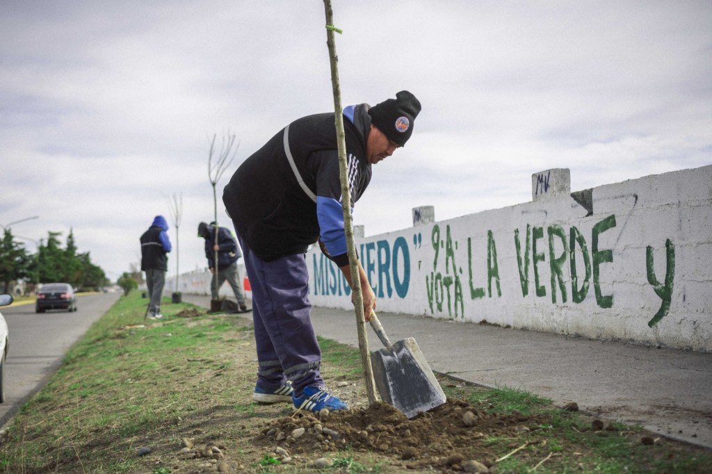 El Municipio continúa con las tareas de plantación de árboles en diferentes sectores de&nbsp;Rawson