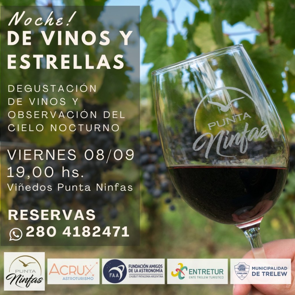 Trelew: Noche de vino y estrellas en Viñedos Punta&nbsp;Ninfas