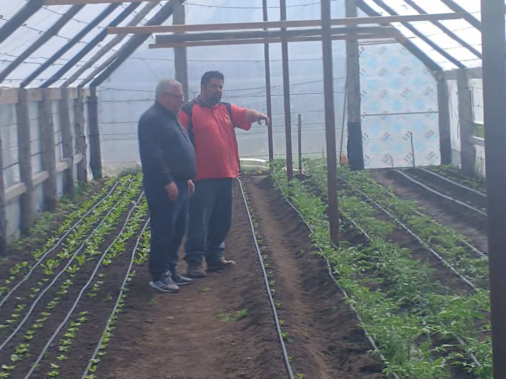 Río Mayo: Provincia trabaja en la producción bajo cubierta de&nbsp;hortalizas