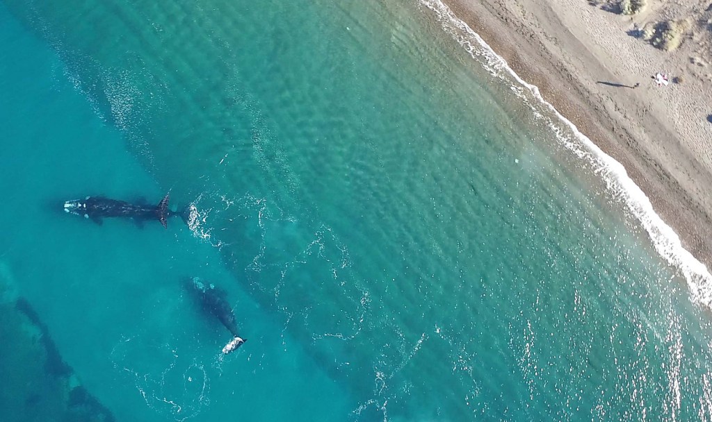 El Gobierno Provincial recuerda que está vigente una línea de crédito para el sector&nbsp;turístico