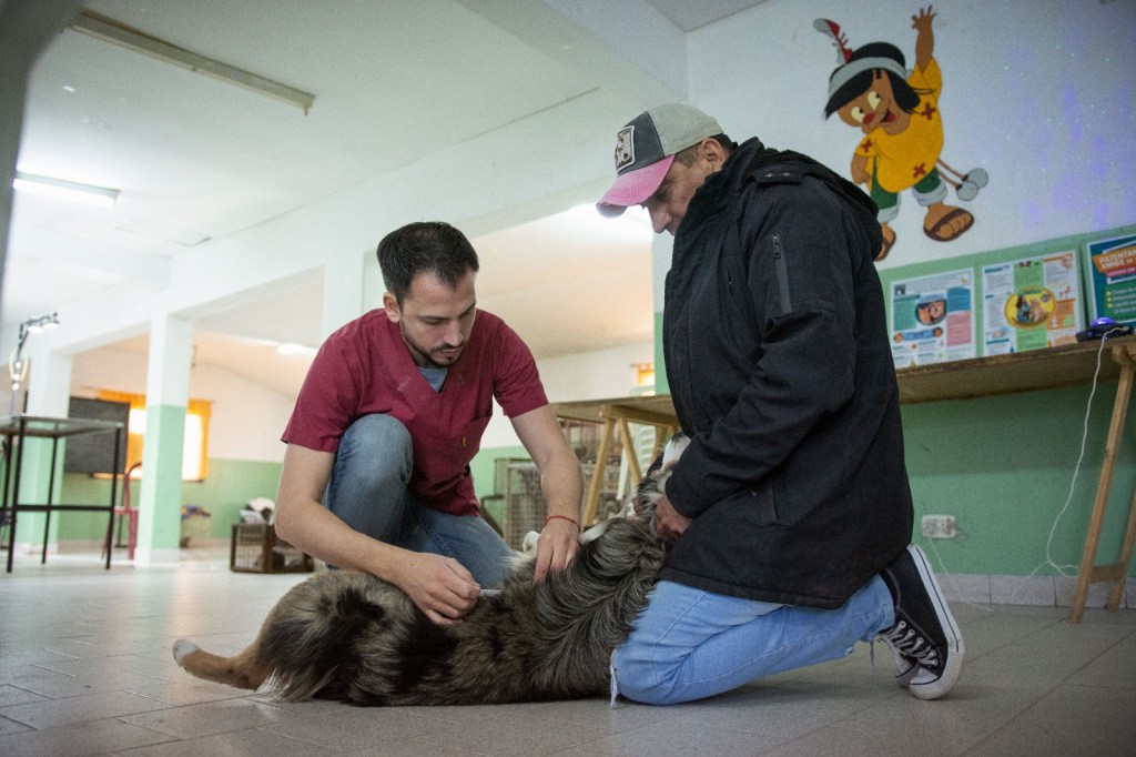 Con buena cantidad de esterilizaciones y vacunación antirrábica, “Veterinaria en tu barrio” visitó al Gregorio&nbsp;Mayo