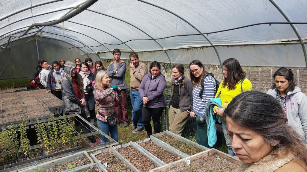 El Gobierno de la Provincia capacita a docentes sobre la protección del&nbsp;bosque