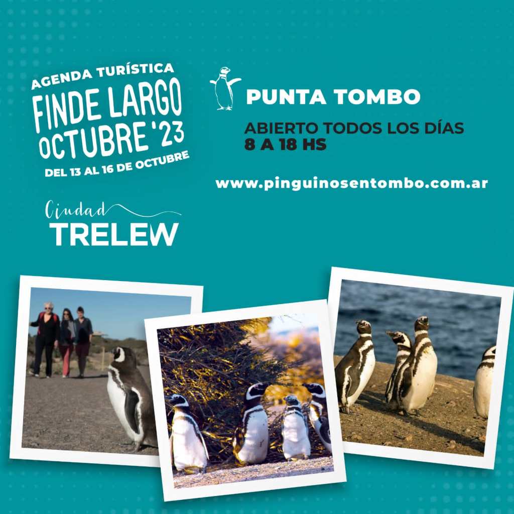 Punta Tombo se prepara para recibir visitantes durante el fin de semana&nbsp;largo