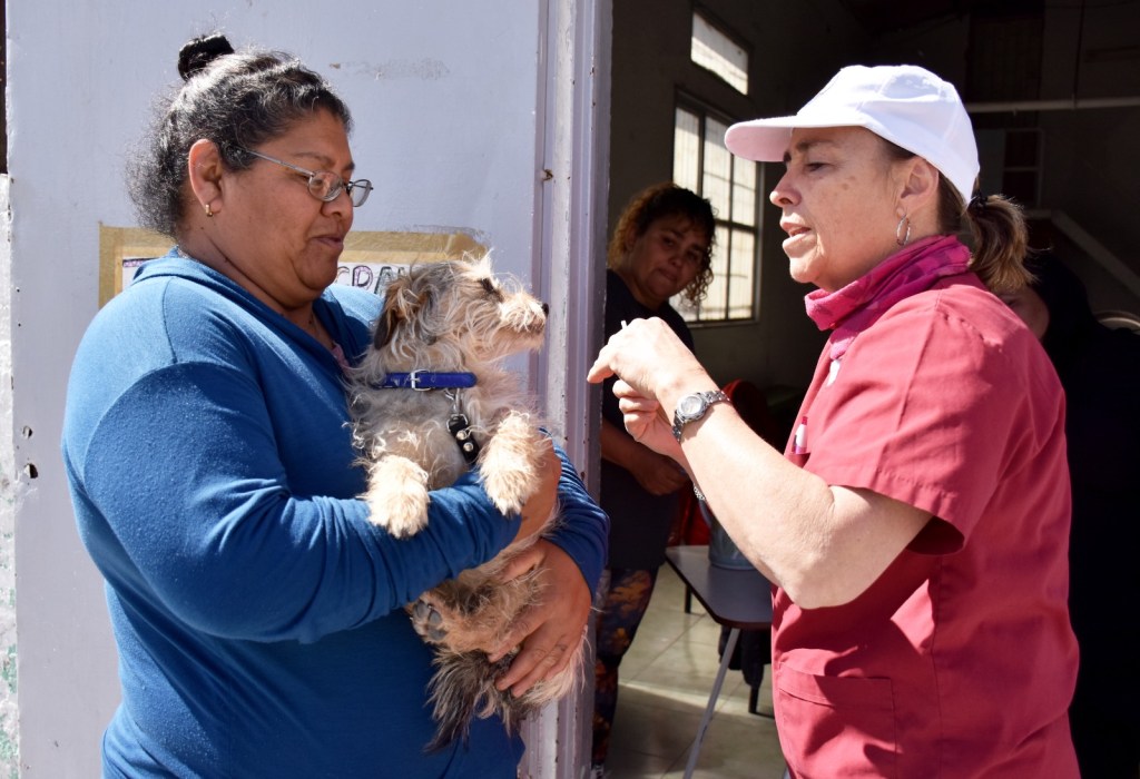 Últimas fechas de la campaña gratuita de desparasitación en los&nbsp;barrios