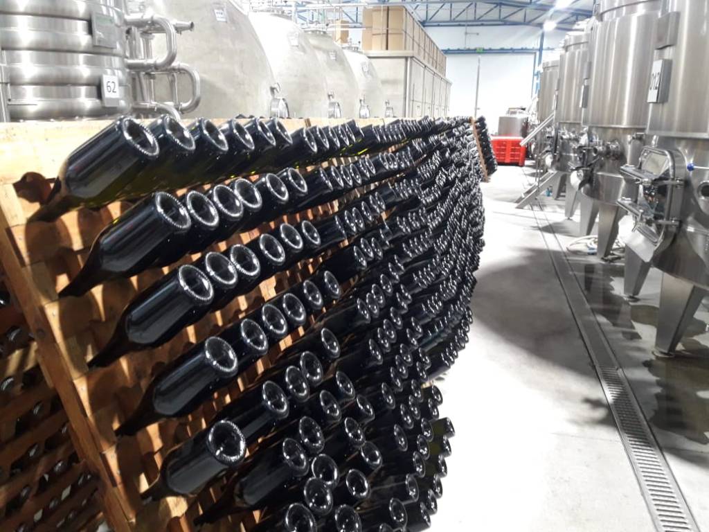 Reconocimiento a Chubut como provincia vitivinícola: 16 localidades productoras, 138 hectáreas y 20 destinos de&nbsp;exportación