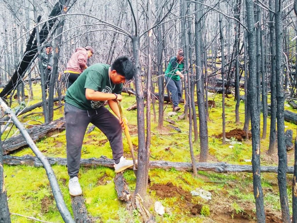 Provincia realizó el cierre de la campaña anual de restauración de&nbsp;bosques