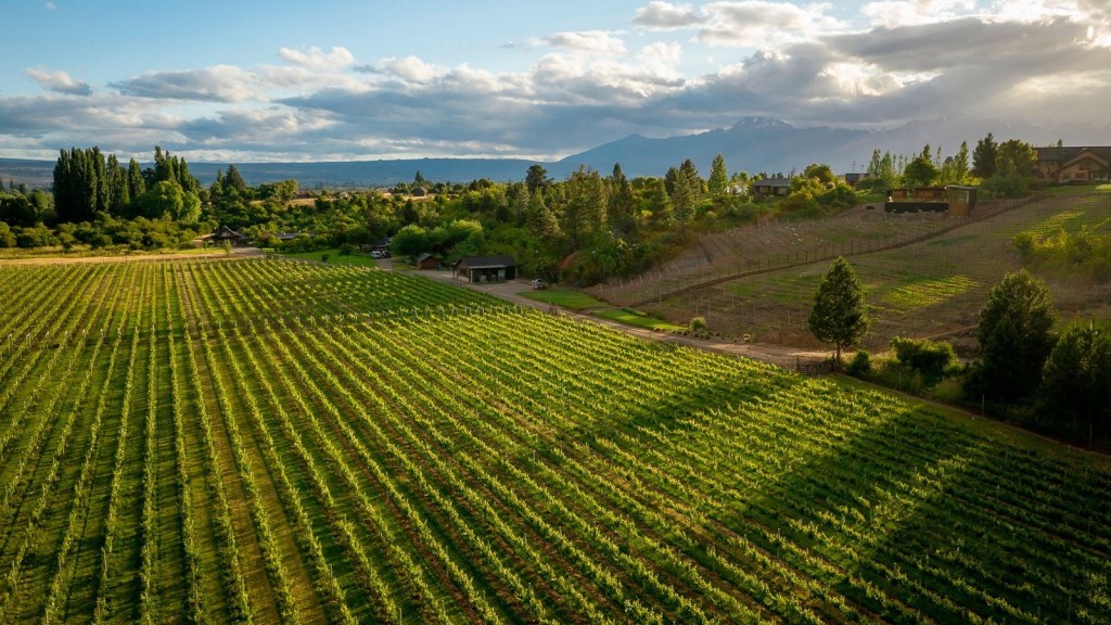 Turismo: El Gobierno de la Provincia presenta el programa “Vinos y Sabores de&nbsp;Chubut”