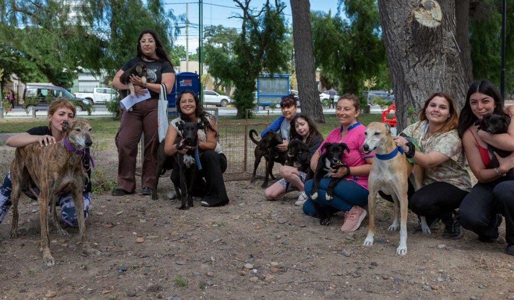 Veterinaria Municipal Rawson realizó la Campaña de adopción responsable de&nbsp;mascotas