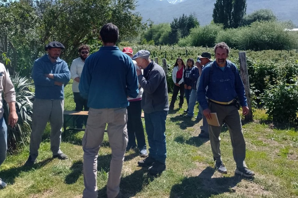 Sanidad Vegetal: Se realizó un taller sobre cosecha de frutas en El&nbsp;Hoyo