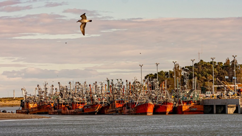 La Secretaría de Pesca dispuso la suspensión preventiva de un buque artesanal que operaba en Puerto&nbsp;Rawson