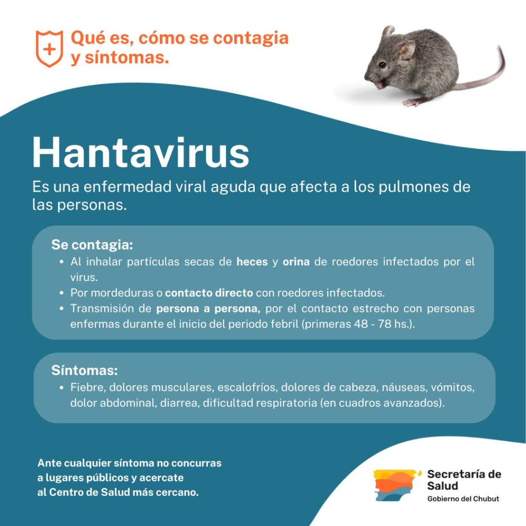 El Gobierno Provincial recuerda las medidas de cuidado para prevenir el&nbsp;Hantavirus
