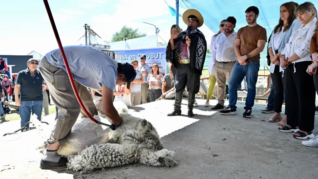 El Gobierno Provincial revalorizó la actividad ganadera en la Fiesta Nacional de la&nbsp;Esquila