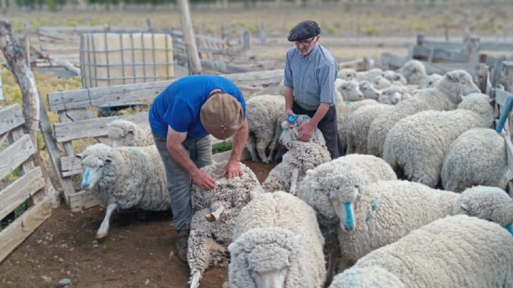 Chubut invita a participar de tres Fiestas Populares y de la Exposición Ovina de&nbsp;Esquel