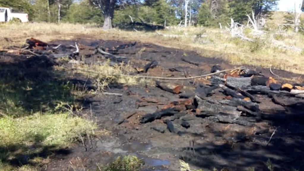 Provincia logró extinguir un incendio forestal en Río&nbsp;Pico