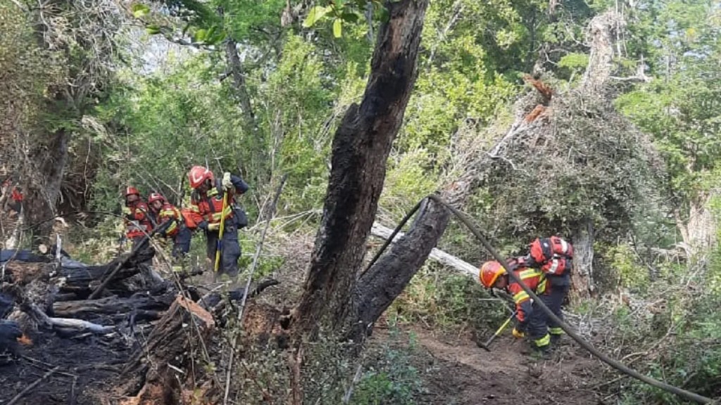 Torres se reunirá en Esquel con una mesa interministerial que coordina esfuerzos con Nación para combatir el incendio de «Los&nbsp;Alerces»
