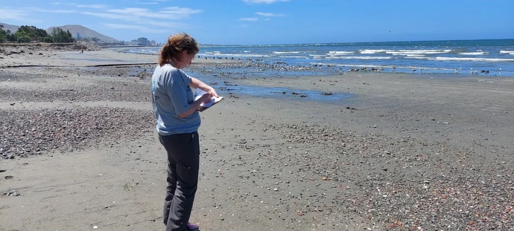 Provincia monitorea la calidad del agua y la presencia de residuos en diferentes&nbsp;playas