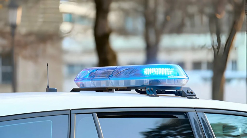 Un hombre fue detenido tras agredir a dos policías en el boliche Friends de Puerto Madryn.