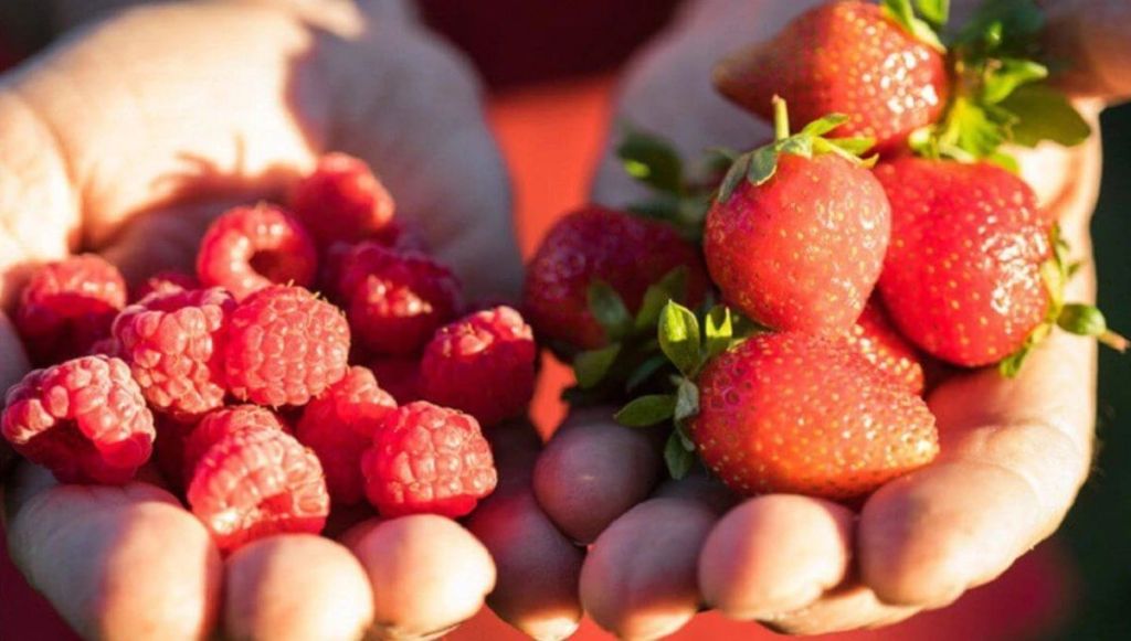 Provincia invita a disfrutar de seis Fiestas Populares este fin de&nbsp;semana