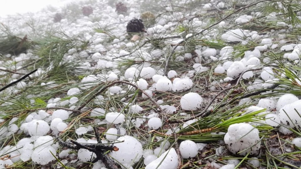 Fuerte tormenta de lluvia y granizó azotó a la ciudad mendocina de San Rafael y&nbsp;aledaños