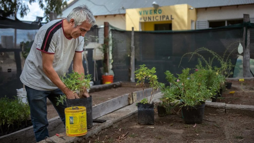 Ambiente destaca el crecimiento del Vivero Municipal de&nbsp;Rawson