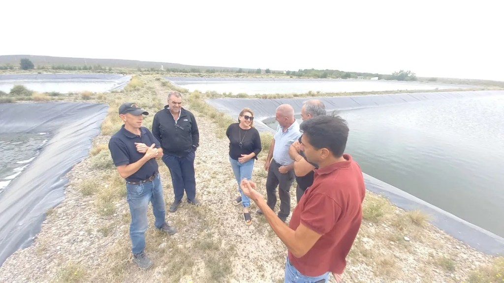 El Gobierno del Chubut acompaña la gestión ambiental del municipio de&nbsp;Gaiman