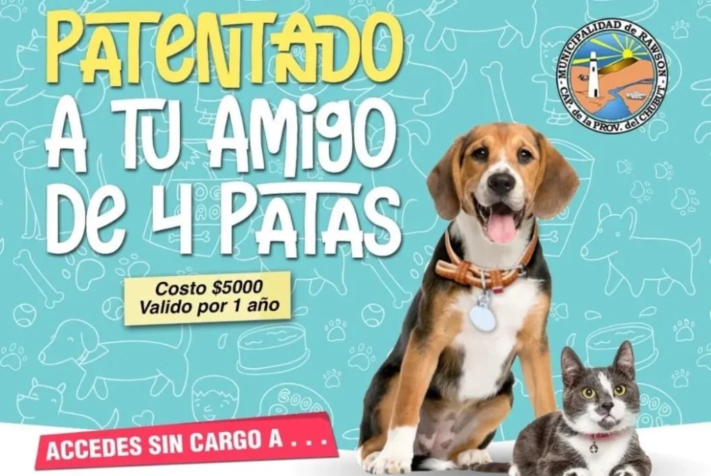 Crece el número de mascotas que acceden al servicio de patentamiento municipal en&nbsp;Rawson