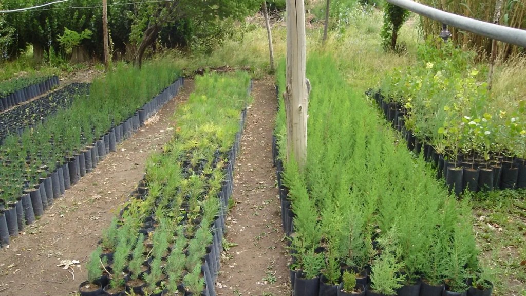 Provincia articula actividades en todos los invernaderos del&nbsp;Chubut