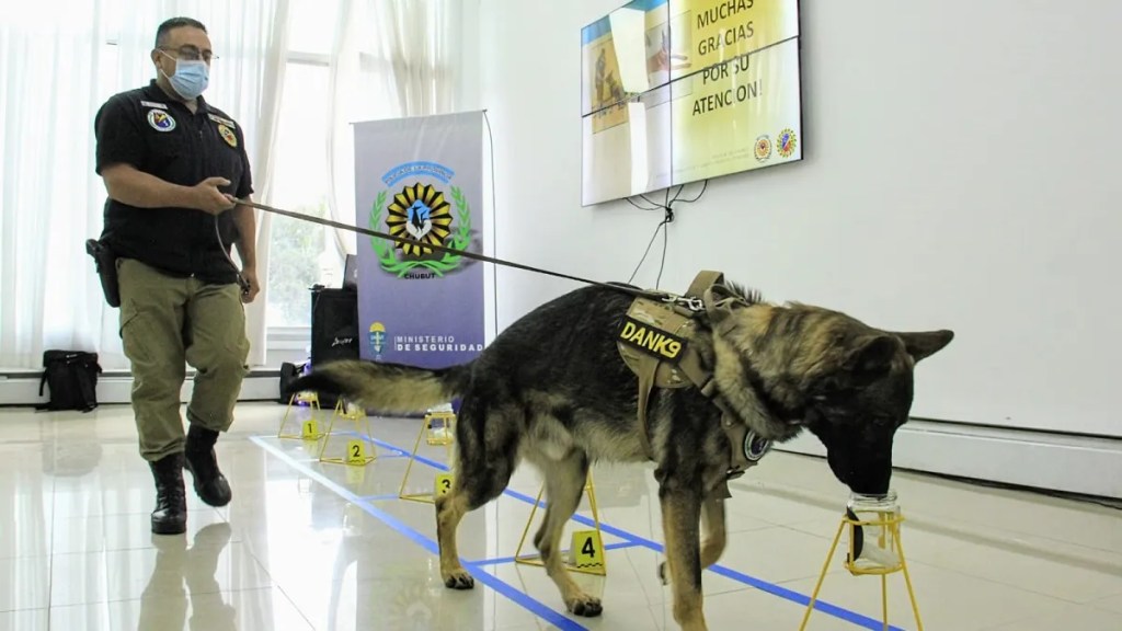 La Policía del Chubut presentó la Odorología&nbsp;Forense