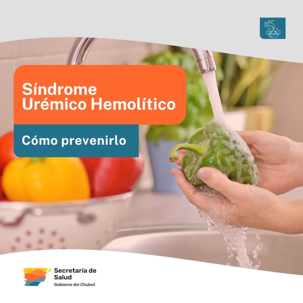 Provincia recuerda cuáles son las medidas de higiene recomendadas para prevenir el Síndrome Urémico&nbsp;Hemolítico