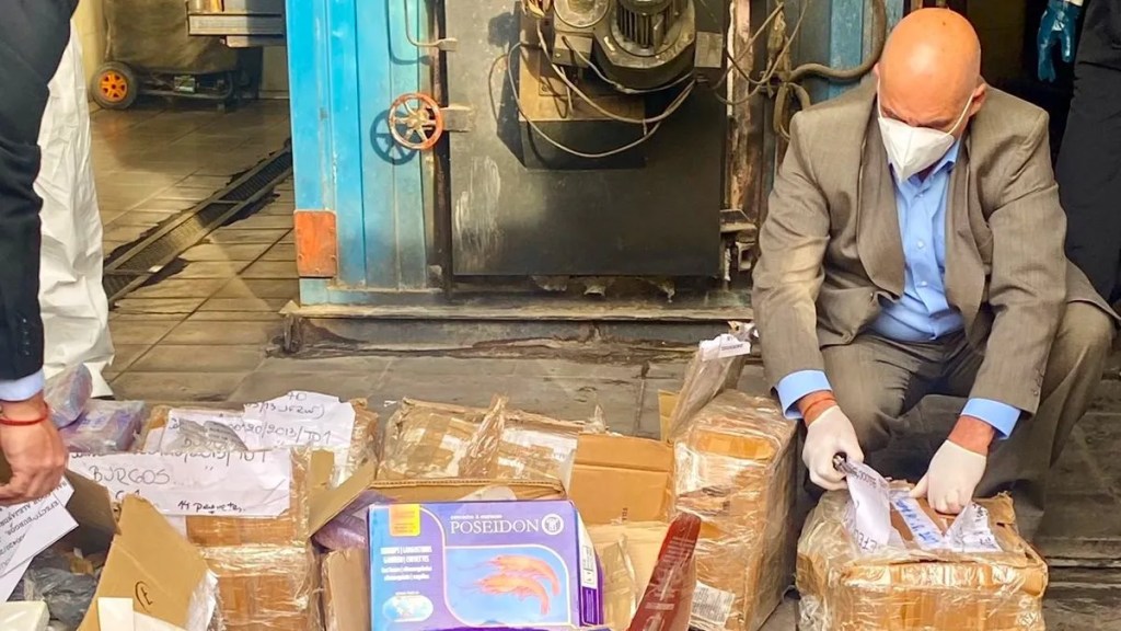 Provincia acompañó la destrucción de  399 kilogramos de&nbsp;estupefacientes