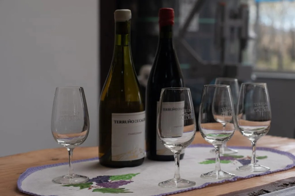 Provincia convoca a productores chubutenses a participar del programa de “Promoción de Sistemas Sostenibles en la Vitivinicultura&nbsp;Argentina”