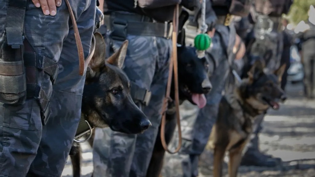 Provincia acompañó el Aniversario de la Sección Canes de&nbsp;Trelew