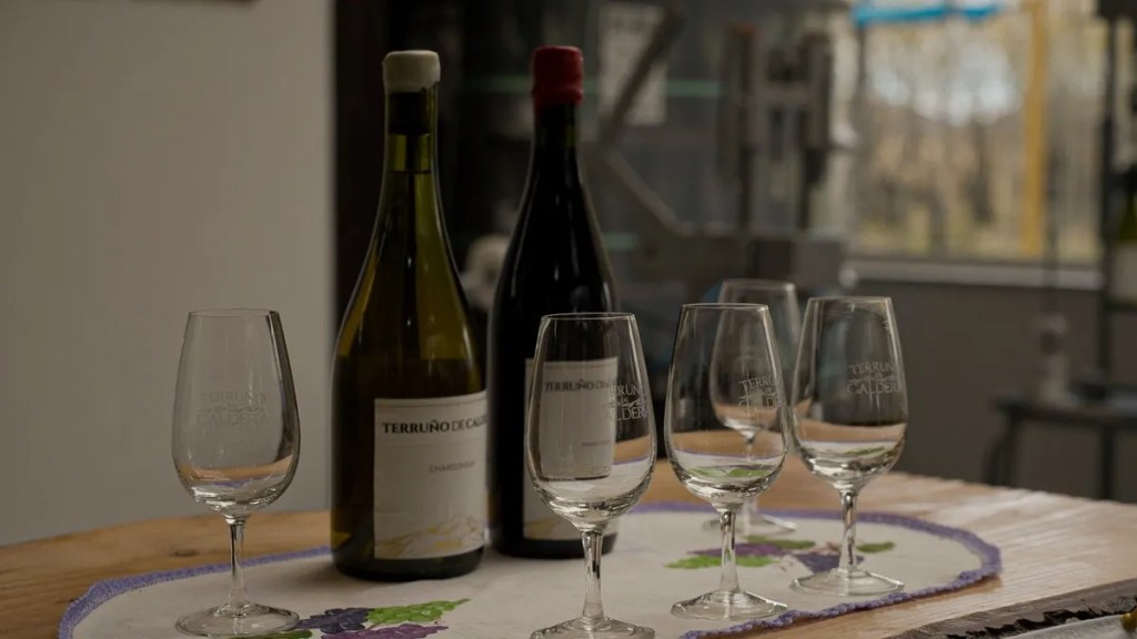 Provincia convoca a bodegas chubutenses a participar del “Día Mundial del&nbsp;Malbec”