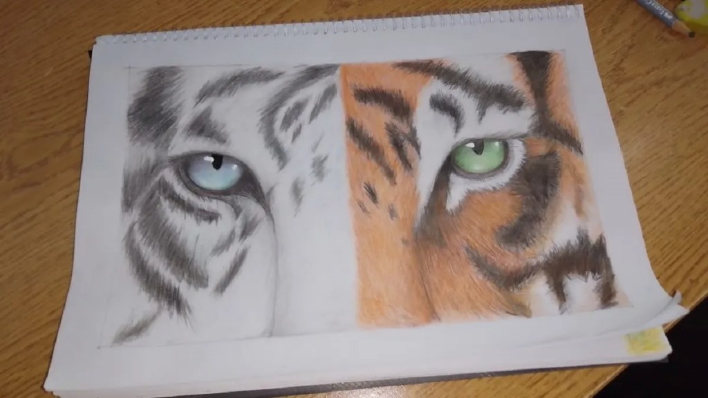 El Municipio brinda talleres gratuitos de dibujo y&nbsp;pintura