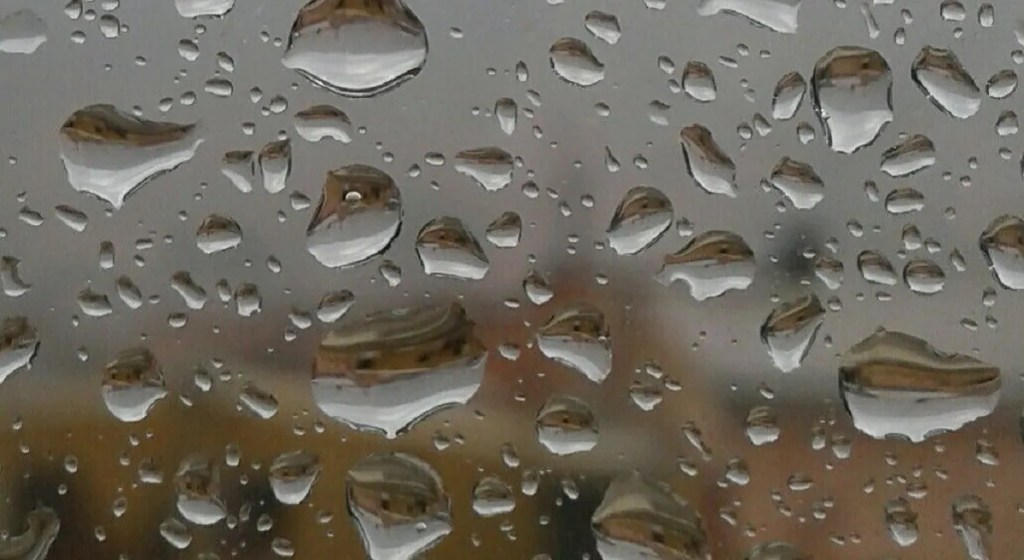 El Municipio realizó tareas preventivas por el temporal de&nbsp;lluvia