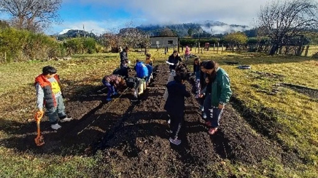 El Gobierno Provincial capacitó a diversas asociaciones de la cordillera en temática de cultivo de&nbsp;ajo