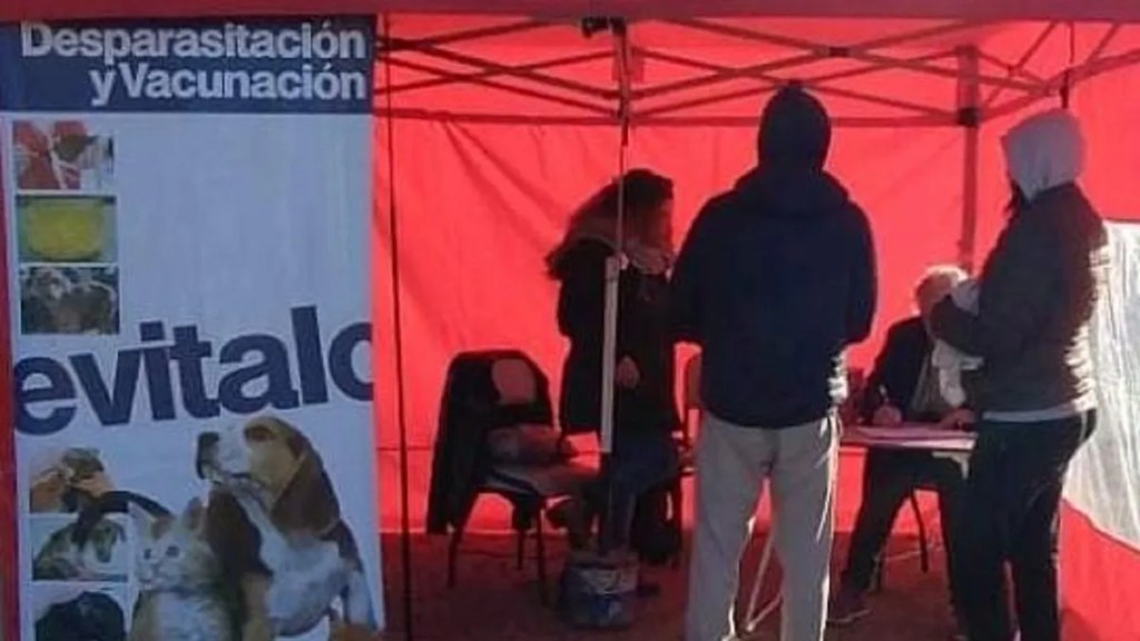 El Municipio desparasitó más de 2600 mascotas con la campaña de&nbsp;otoño