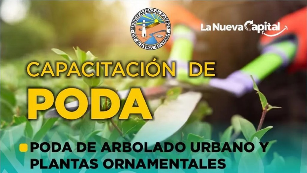 Municipio convoca a vecinos a inscribirse a la Capacitación en Poda de Arbolado Urbano y Plantas&nbsp;Ornamentales
