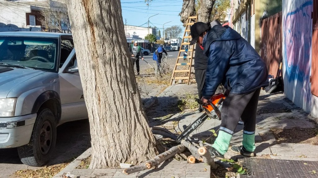 La Municipalidad comenzó un trabajo integral de poda en todo&nbsp;Rawson