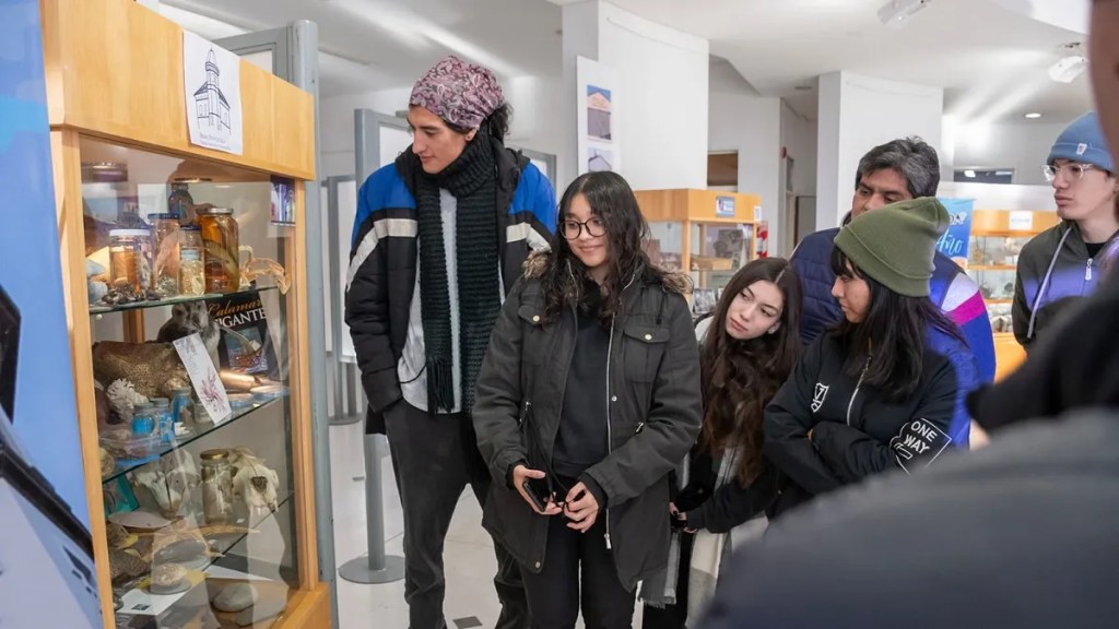 Provincia invita a disfrutar de una Muestra Colectiva de los Museos&nbsp;Regionales