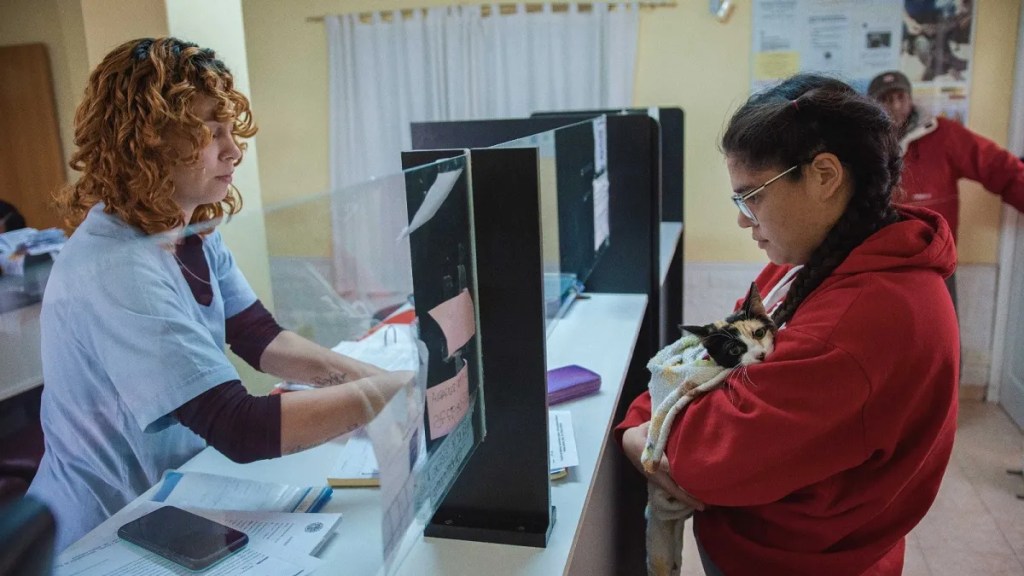 Veterinaria Municipal avanza con el plan integral para resolver la sobrepoblación de caninos y felinos en&nbsp;Rawson