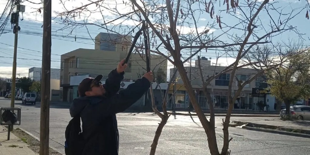 Ambiente Municipal continúa con los trabajos de embellecimiento en&nbsp;Rawson