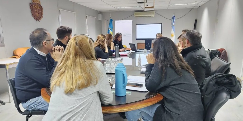 El Gobierno del Chubut avanza para implementar la receta electrónica y facilitar el acceso a los&nbsp;medicamentos