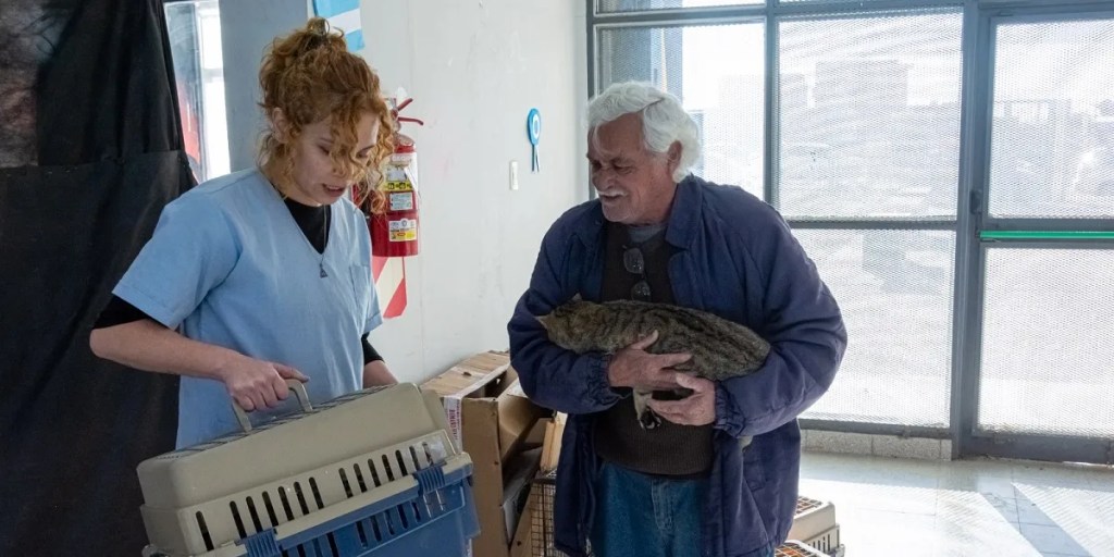 Más de 100 intervenciones en la Jornada de Castración Masiva para caninos y felinos en&nbsp;Rawson