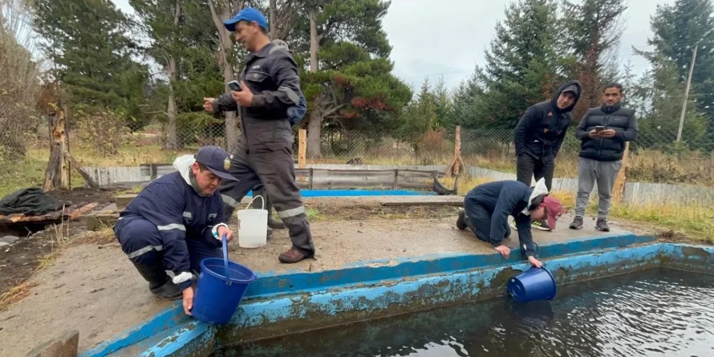 El Gobierno de la Provincia realizó siembra de peces en la Escuela Nº 568 de&nbsp;Corcovado