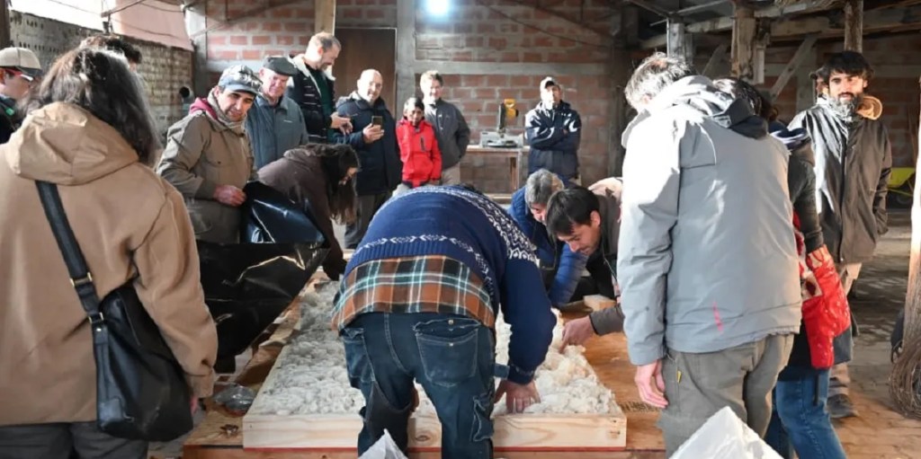 Provincia desarrolló taller de construcción eco-sustentable con madera de raleo y lana de&nbsp;oveja