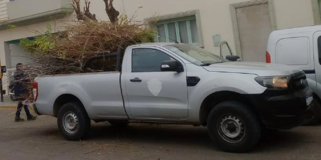 Trelew: se encuentra vigente la temporada de&nbsp;poda