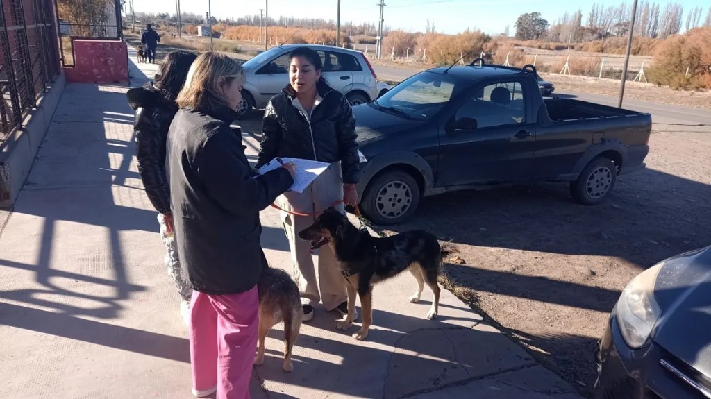 Zoonosis desparasitó alrededor de 50 animales en barrio&nbsp;Corradi