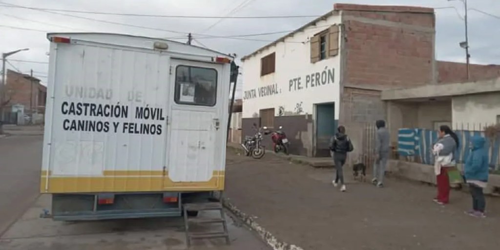 Zoonosis realizó castraciones gratuitas de animales en el barrio Presidente&nbsp;Perón